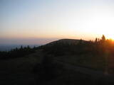 20 : 20