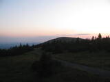 20 : 40