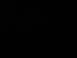 03 : 44