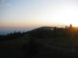 20 : 16