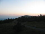 20 : 40