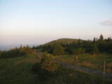 06 : 04
