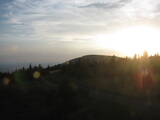 19 : 52