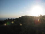 19 : 36