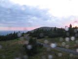 20 : 20