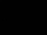 03 : 44