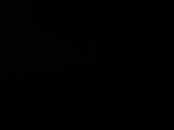 Záznam