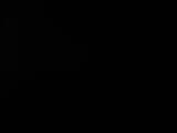 Záznam