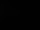Záznam
