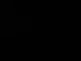 Záznam