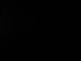 Záznam