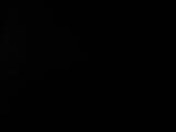 Záznam