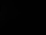 Záznam
