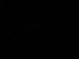 20 : 32