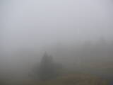 08 : 20