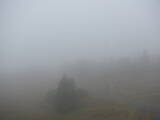 08 : 44