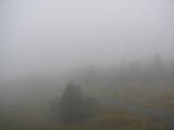 09 : 20