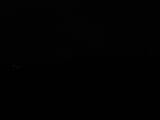 05 : 44