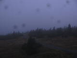 19 : 24