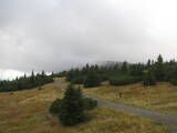 17 : 12