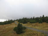 17 : 28