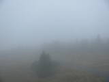 18 : 12