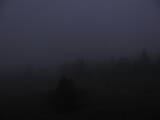 19 : 28