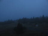 19 : 20