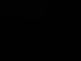 19 : 44