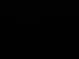 20 : 40