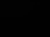 20 : 48