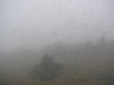 15 : 40
