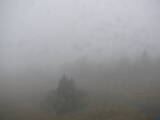 15 : 44