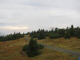 17 : 24