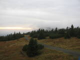 17 : 44