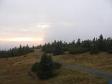 18 : 20