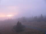 18 : 52