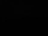 20 : 40