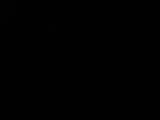 Záznam